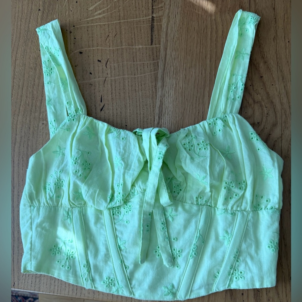 American Threads Light Green Embroidered Crop Top